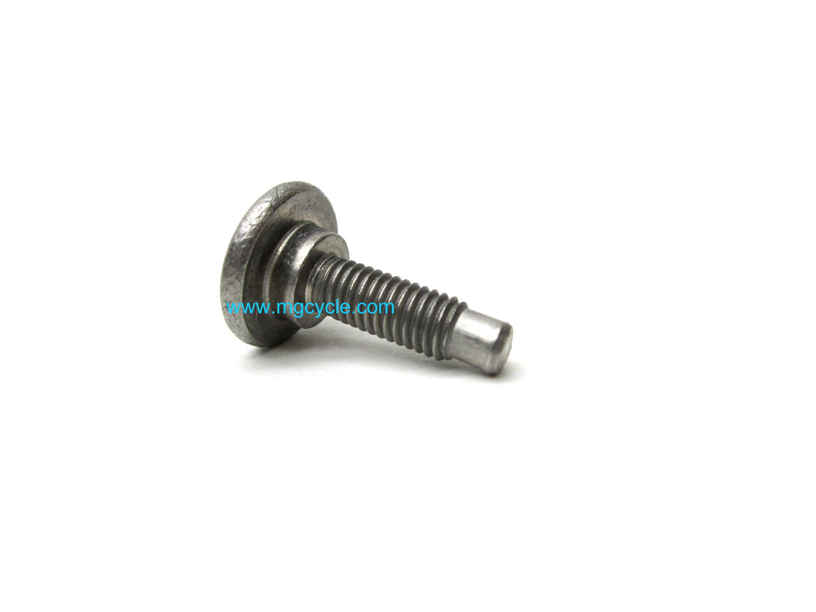 OEM Aprilia body panel screw - Click Image to Close