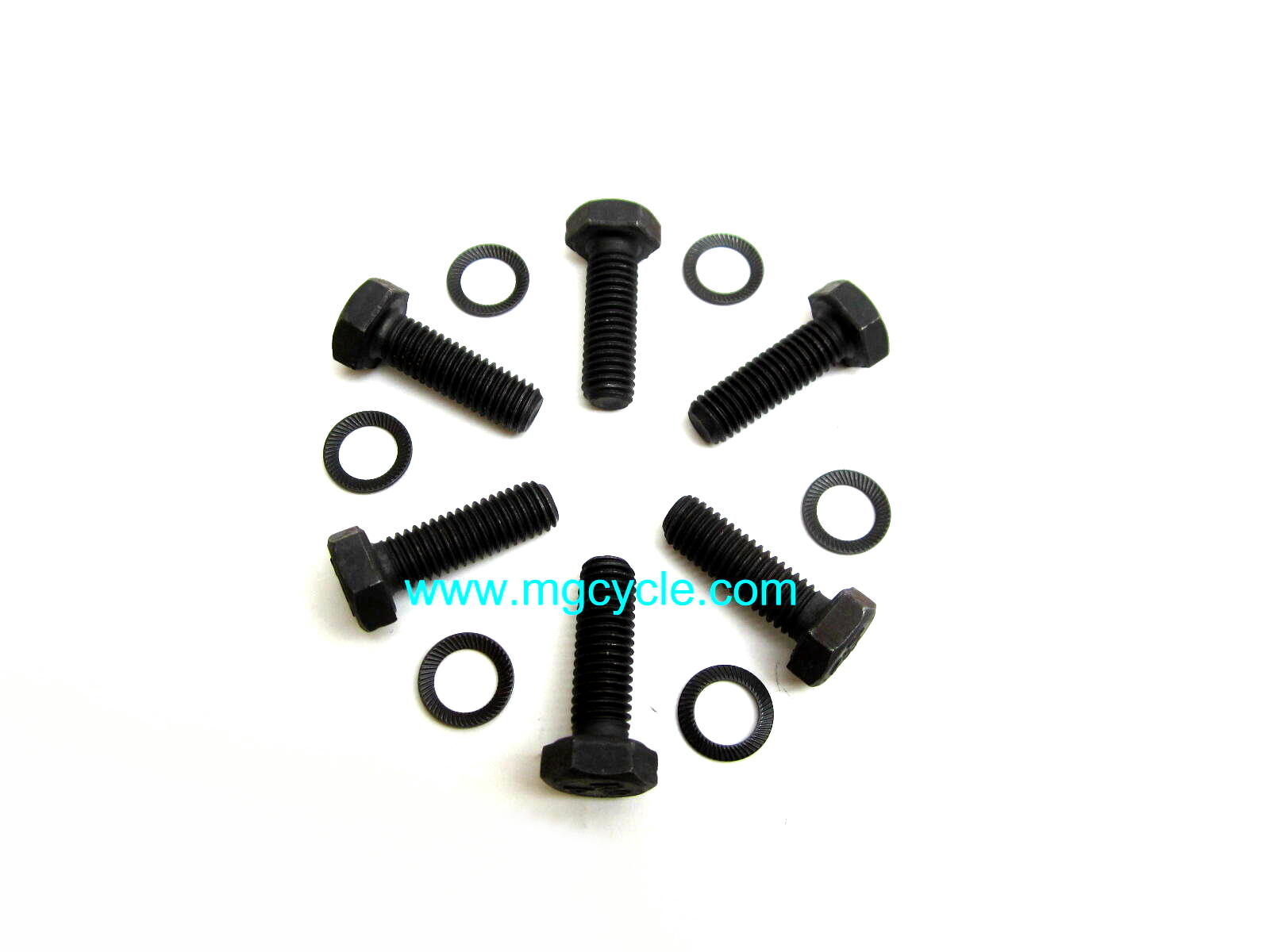 Flywheel bolt kit, 10.9 bolts with schnor lock washers